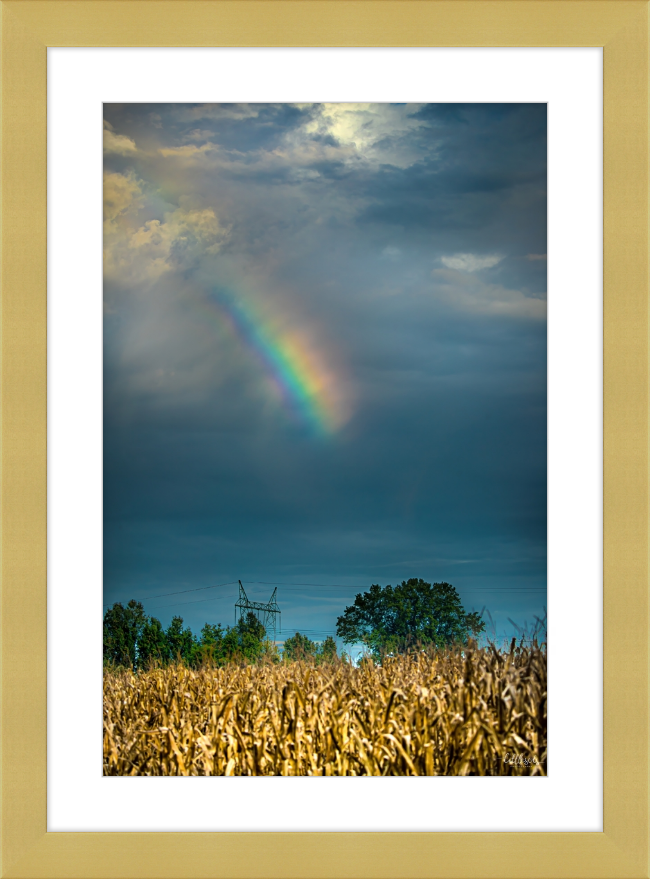 Rainbow Corn Frame