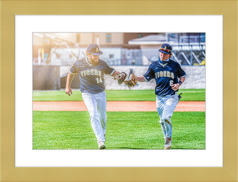 14 & 6 Frame