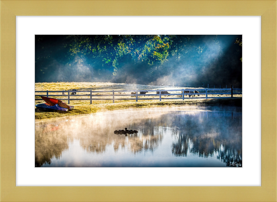 Morning Pond Frame