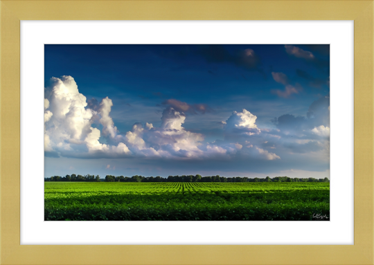 Blue Morning Frame