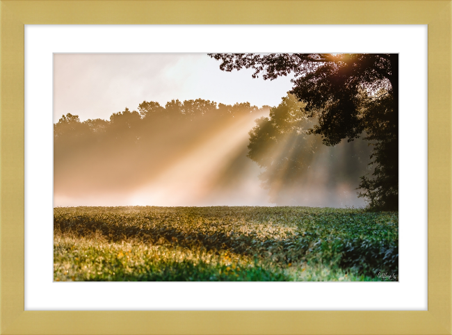 Rays of Hope Frame