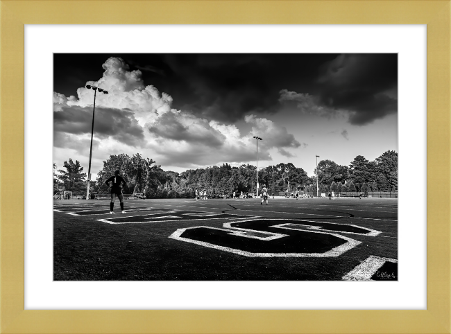 The Long Field Frame