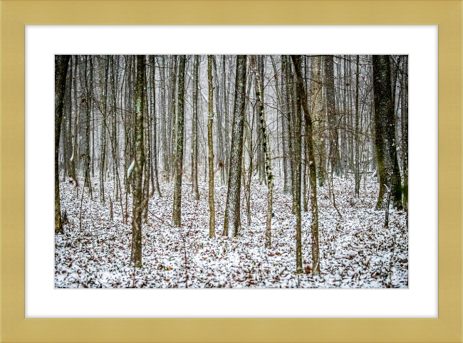 Lost in Snow Frame