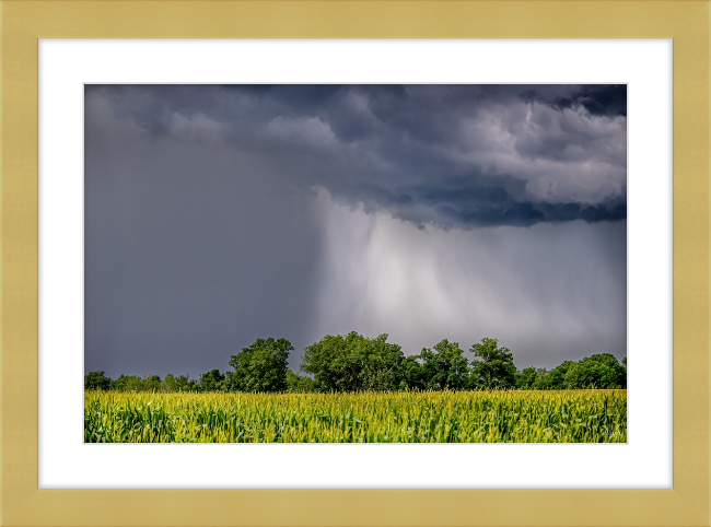 Ouachita Showers Frame