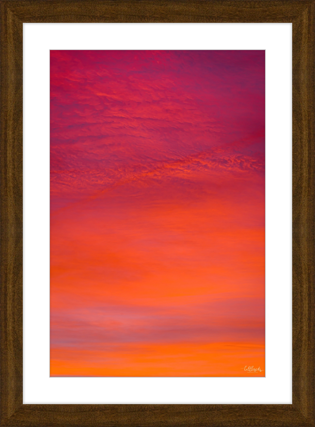 Purple Orange Frame