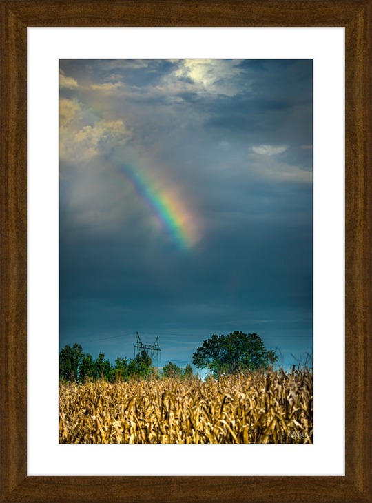 Rainbow Corn Frame