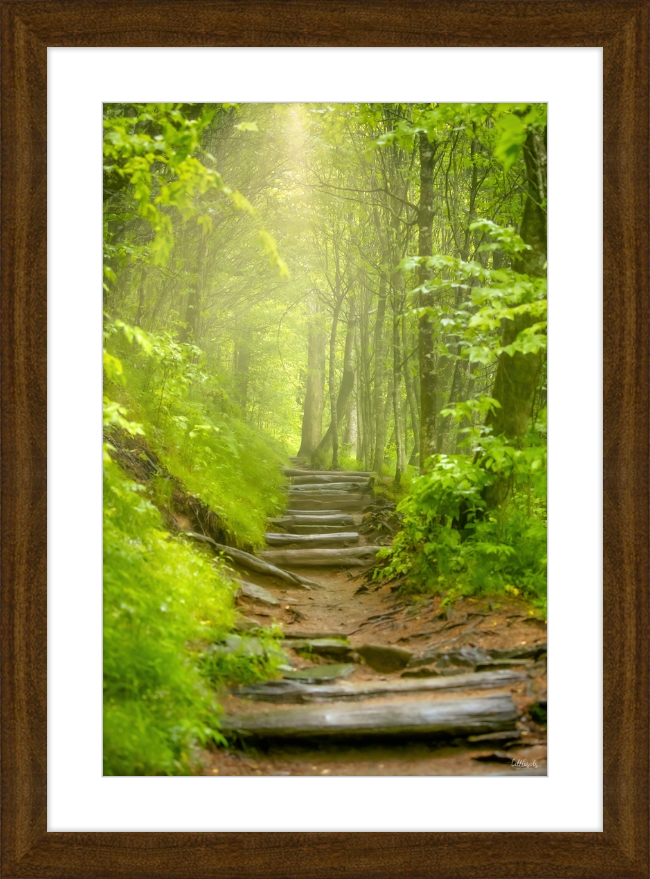 Appalachian Light Frame