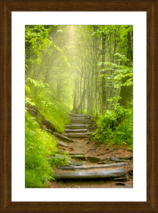 Appalachian Light Frame