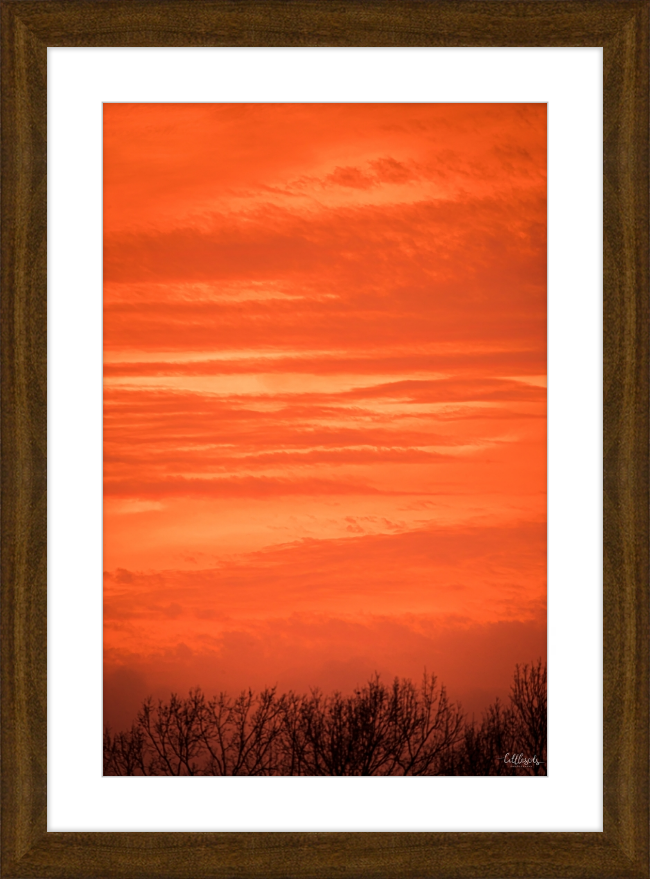 Orange Eads Frame