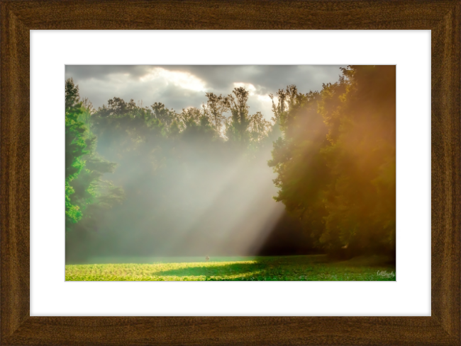 Morning Light Frame