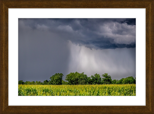 Ouachita Showers Frame