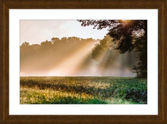 Rays of Hope Frame