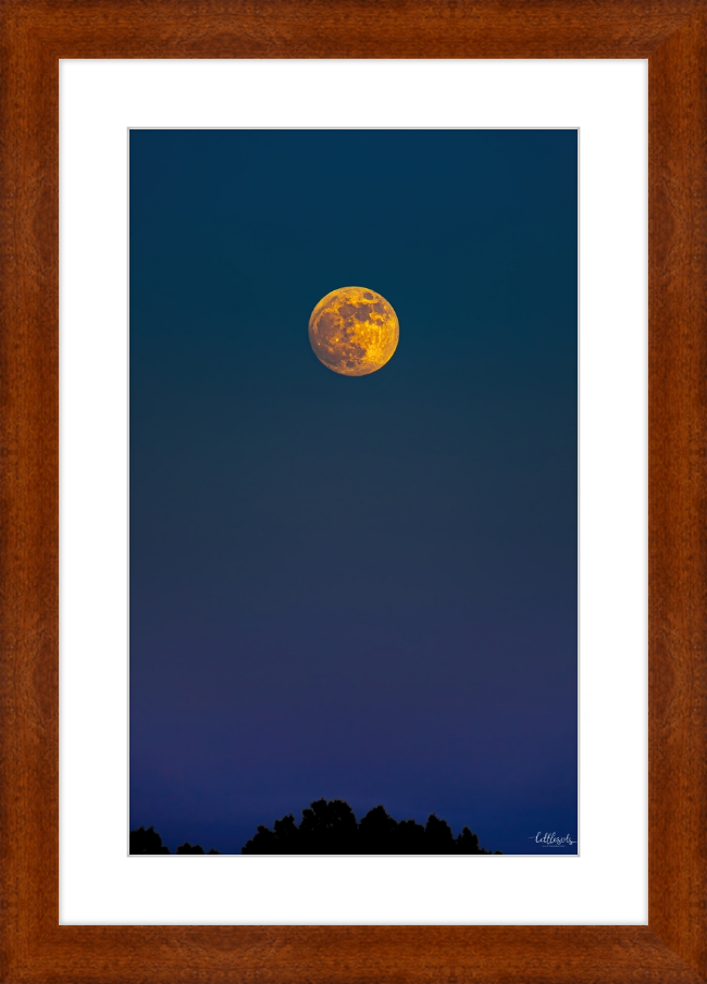 Yellow Moon Frame