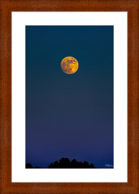 Yellow Moon Frame