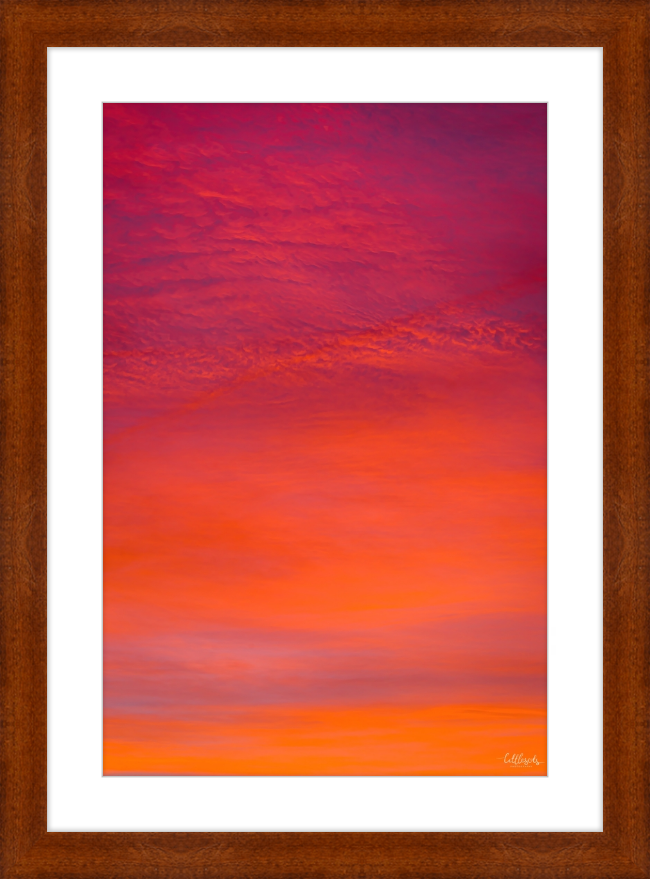 Purple Orange Frame