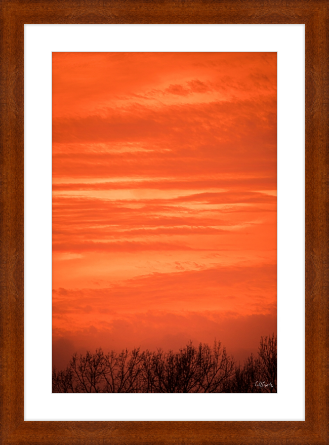 Orange Eads Frame