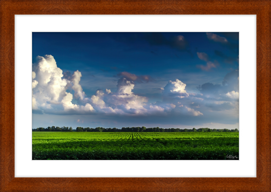 Blue Morning Frame