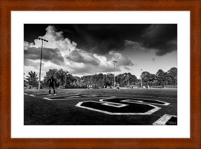 The Long Field Frame