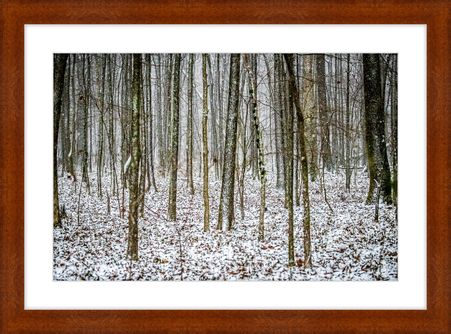 Lost in Snow Frame