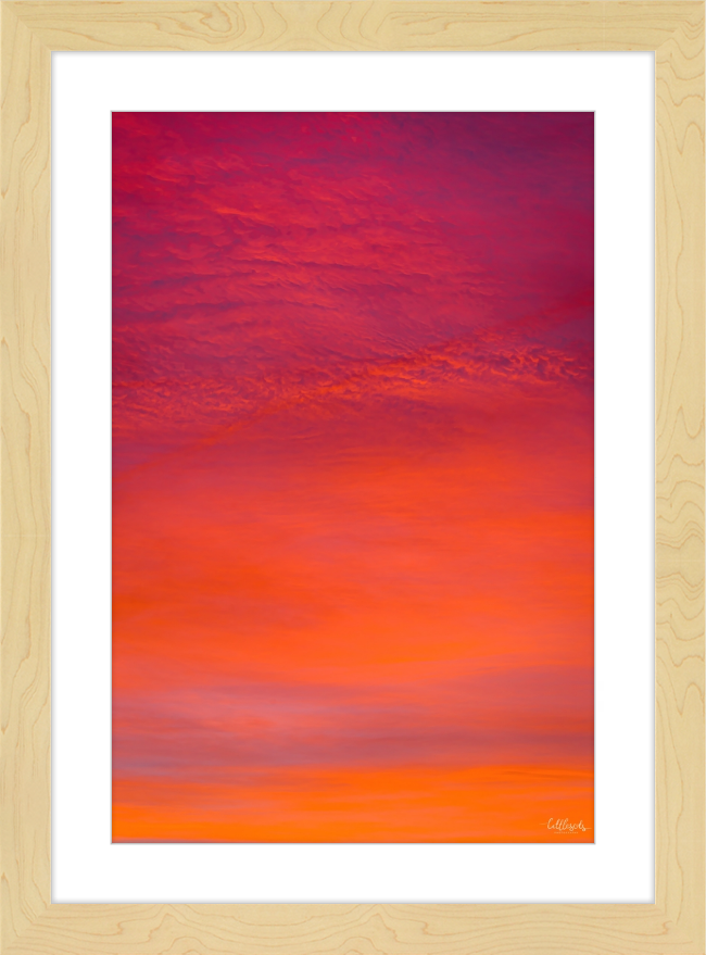 Purple Orange Frame