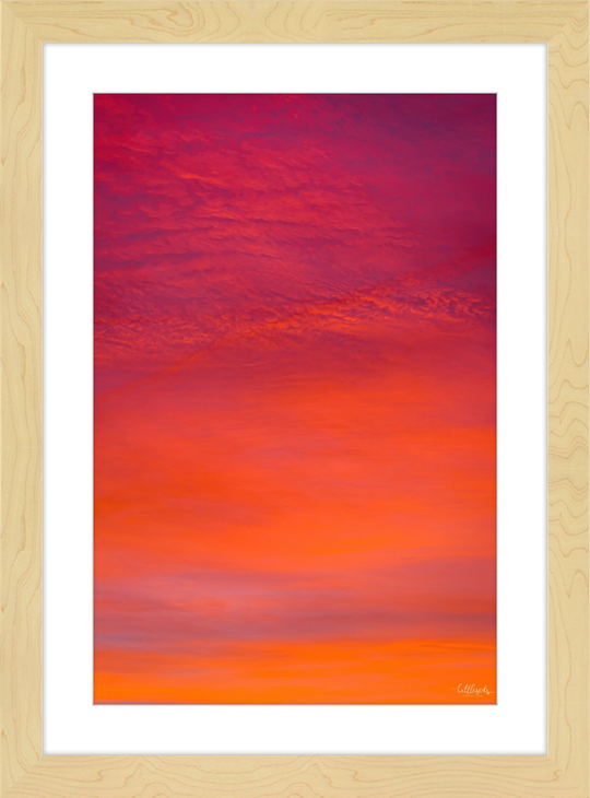 Purple Orange Frame