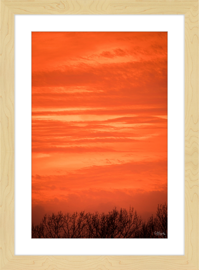 Orange Eads Frame