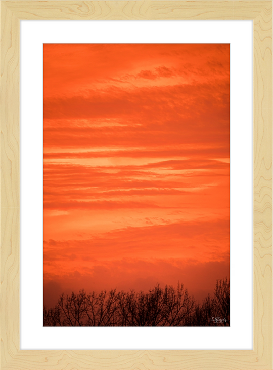 Orange Eads Frame