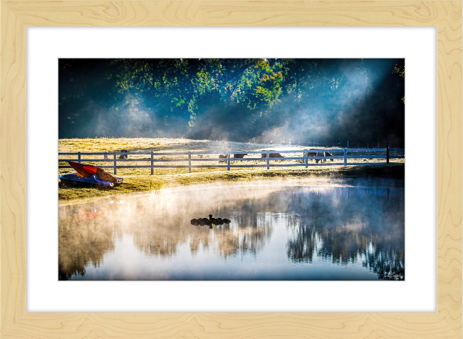 Morning Pond Frame