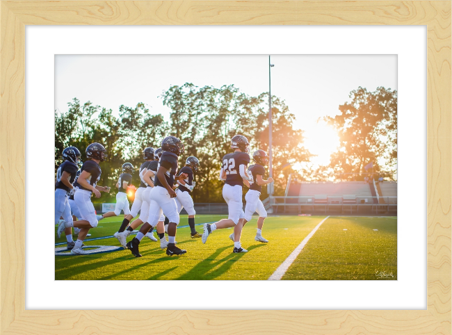 Leave it on the Field Frame