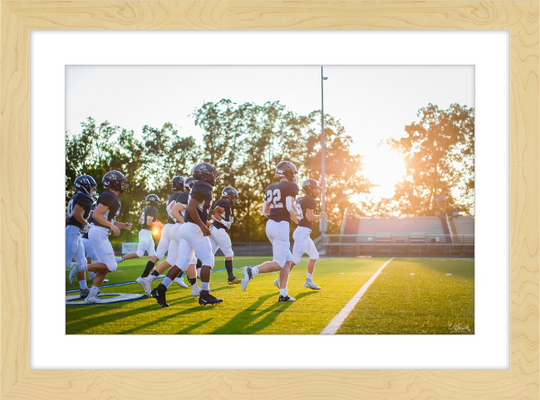 Leave it on the Field Frame