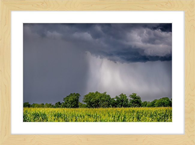 Ouachita Showers Frame