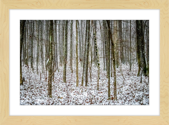 Lost in Snow Frame