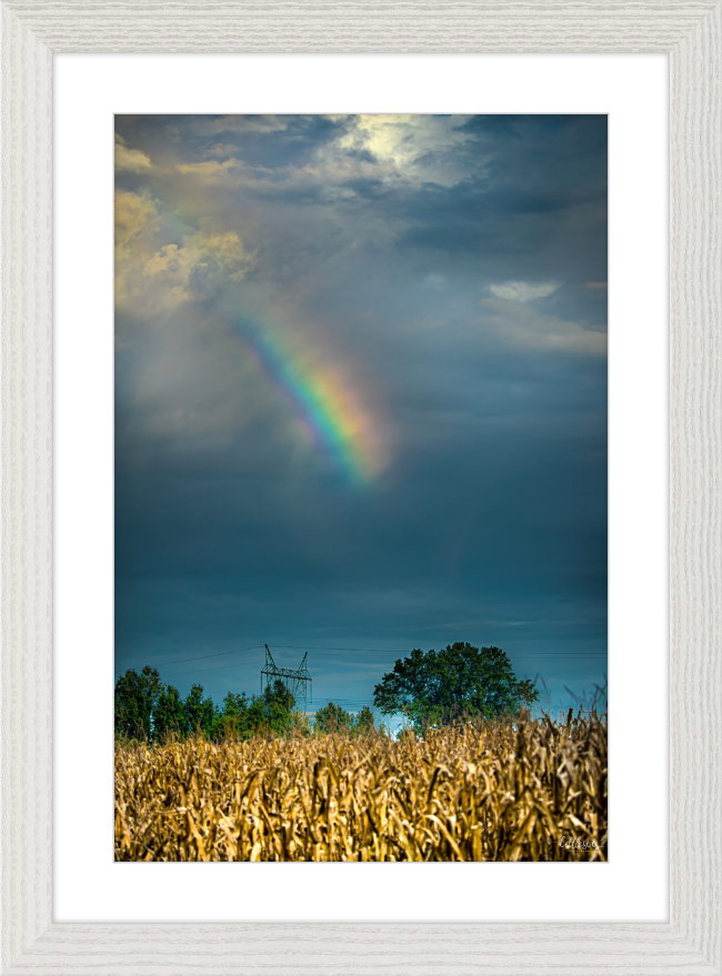 Rainbow Corn Frame