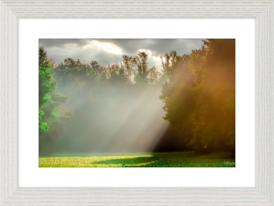 Morning Light Frame