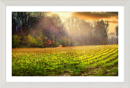 Early Fall Walk Frame